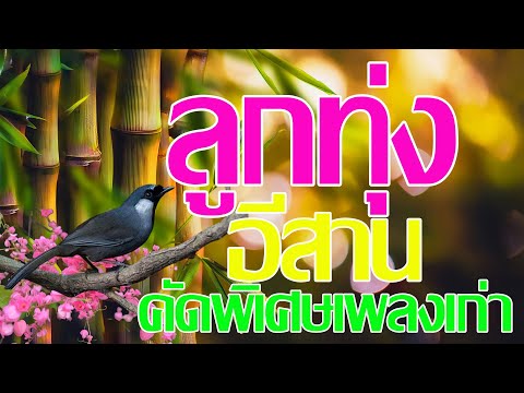 รวมเพลงลูกทุ่งอีสานคัดพิเศษเพล