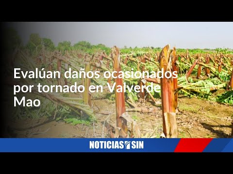 Gabinete Agropecuario acude en auxilio de agricultores afectados por tornado