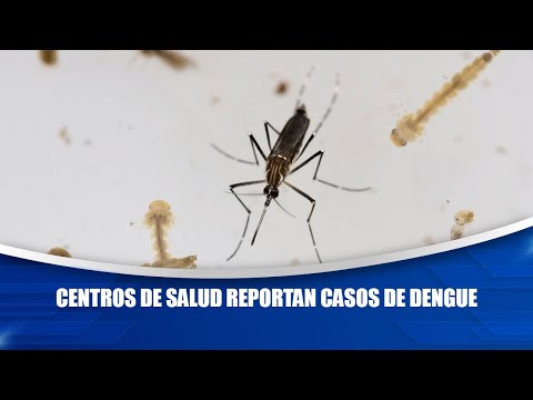 Centros de salud reportan casos de dengue