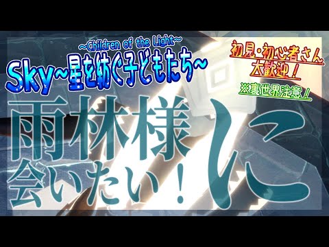 【Sky～星を紡ぐ子どもたち～】雨林様に会いたい！※裏世界注意（Sky～children of the light～）