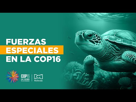 Más de 200 agentes de las Fuerzas Especiales del Ejército se desplegarán en Cali durante la COP16