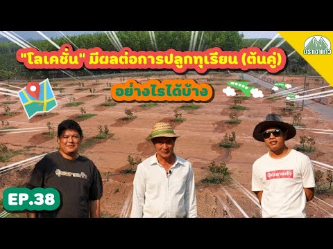 EP.38-โลเคชั่นมีผลต่อการปลูกทุ EP.38-โลเคชั่นมีผลต่อการปลูกทุ