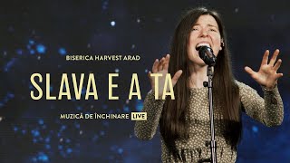 Slava e a Ta  - Harvest Arad