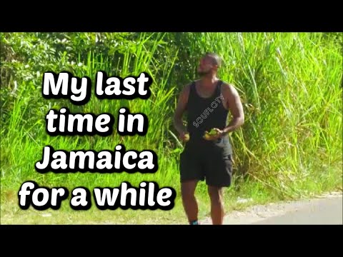 MY LAST TRIP TO JAMAICA FOR THE YEAR