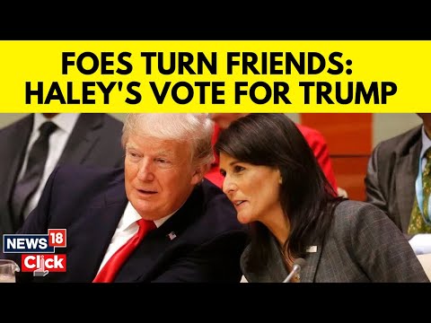 Trump News | US Election | Nikki Haley Pledges To Vote For Trump | Nikki Haley | US News | G18V