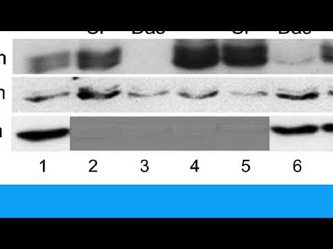 7EC424816436CD7BFBB5968144B530#4