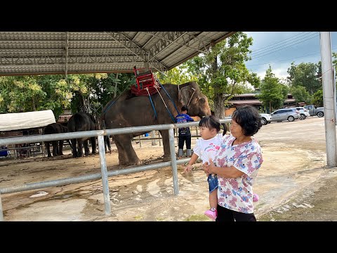 น้องกัสจังไปเที่ยวดูสัตว์จ้า