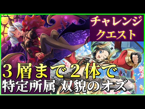 【ロススト】２体でクリア 特定所属 双貌のオズ 3層まで チャレンジクエスト