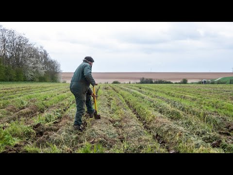«Il nous manque 65.000 euros» : Ces aides promises par l'État aux agriculteurs bio et qui n'arriv…