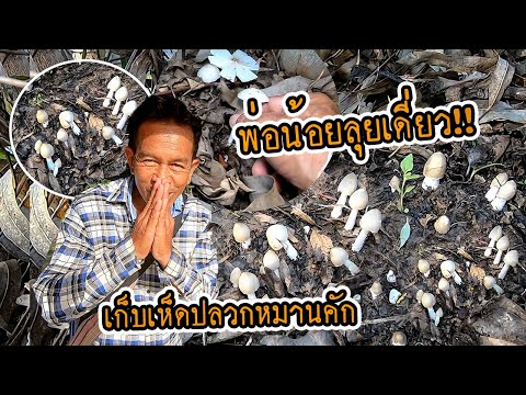 หมานกว่าเมื่อวานอีก!!-“เก็บเห็ หมานกว่าเมื่อวานอีก!!-“เก็บเห็