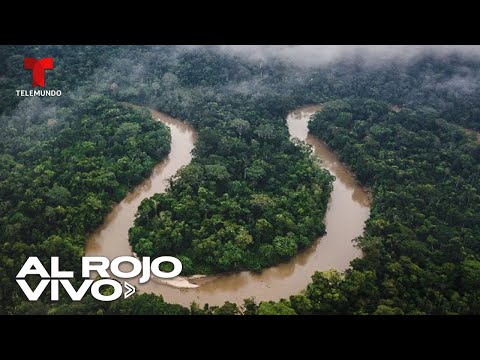 ¿Oro por cocaína?: El narcotráfico expande sus redes por la Amazonía