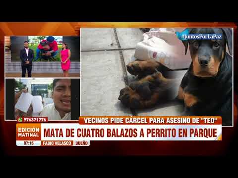 Trujillo: Desalmado sujeto mata de 4 balazos a perrito en un parque