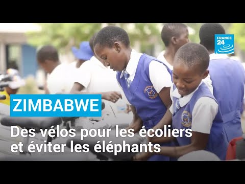 Zimbabwe : des vélos offerts pour éviter les éléphants sur le chemin de l’école • FRANCE 24