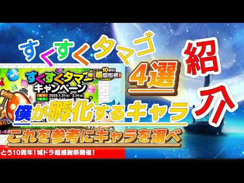 【必見🔥】僕ならこの4体を選ぶ　城とドラゴン