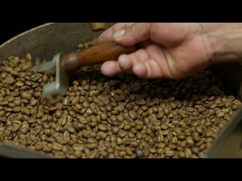 Café nicaragüense conquista el mercado asiático