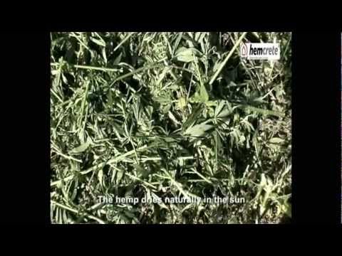 Video: Už medieną ir šiaudus  -  statyboje pranašesnės kanapės