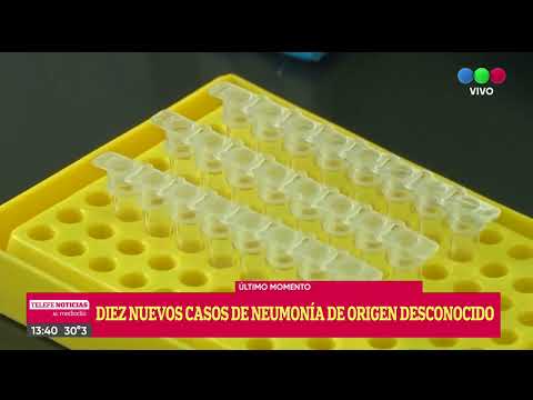 NEUMONÍA BILATERAL: 10 PEROSNAS MÁS EN ESTUDIOS