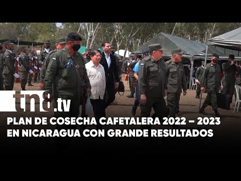 Plan de cosecha cafetalera 2022 – 2023 en Nicaragua es valorado exitoso - Nicaragua