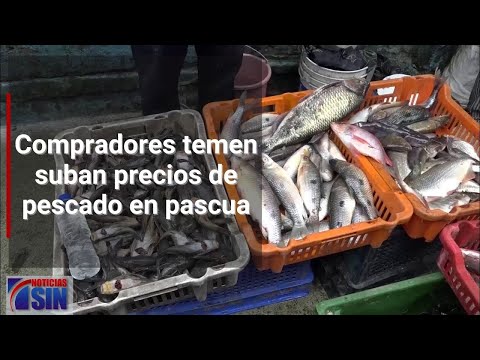 Compradores temen suban precios de pescado en pascua
