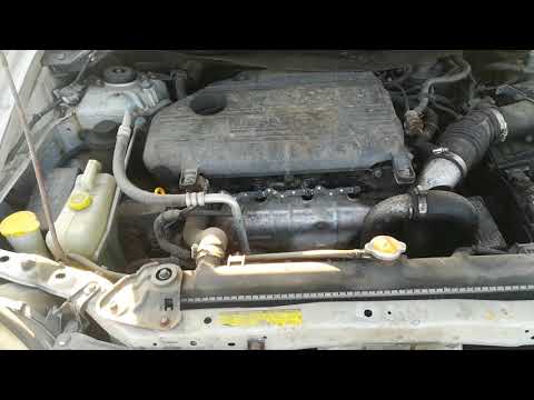 Nissan Almera Tino 2000 m dalys