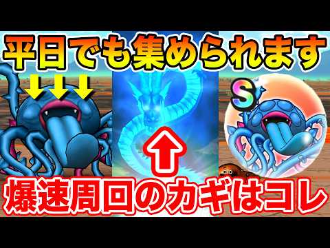 【ドラクエウォーク】今なら平日でも集めることができる!! エビルプラント爆速周回のカギはコレ!!【DQW】