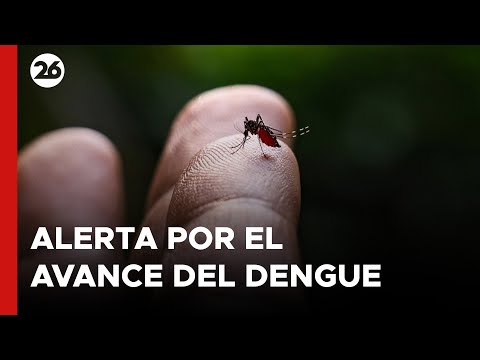 AMÉRICA LATINA | Alerta por el avance del dengue