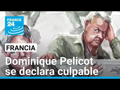 Dominique Pelicot aceptó cargos por drogar a su esposa para violarla y hacerla violar • FRANCE 24