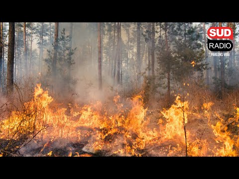 Les pompiers se préparent aux feux de forêt estivaux