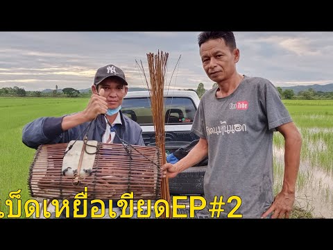 ติดตามเซียนเวทปักเบ็ดเหยื่อเขี ติดตามเซียนเวทปักเบ็ดเหยื่อเขี
