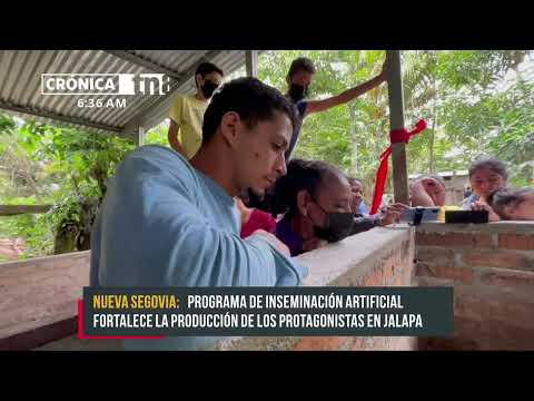 Instalan centro de extracción de semen de porcinos en Jalapa - Nicaragua