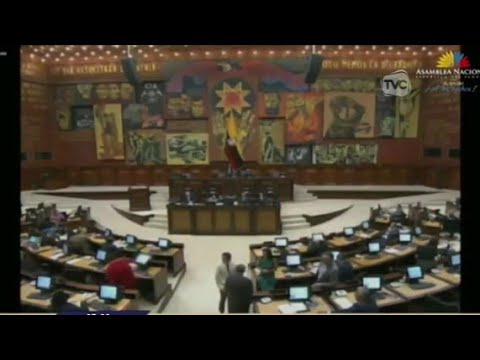Patricio Carrillo: exministro del Interior  fue censurado por la Asamblea Nacional