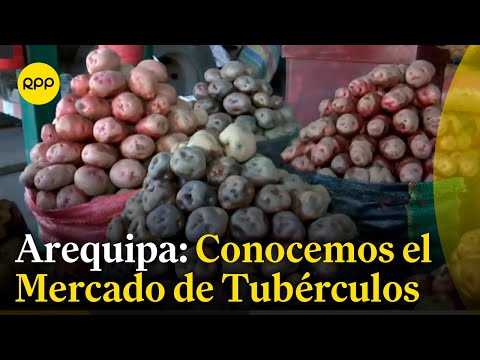 Conocemos el Mercado Mayorista de Tubérculos en Arequipa #NuestraTierra