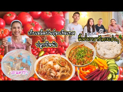 คนไทยในเดนมาร์กเก็บเมล็ดพันธุ