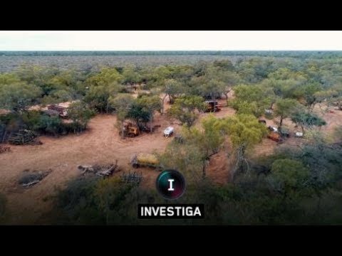 El Investiga, nueva generación | Tierra devastada: el negocio de los desmontes en la Argentina