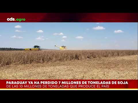 PARAGUAY YA HA PERDIDO 7 MILLONES DE TONELADAS DE SOJA DE LAS 10 MILLONES DE TONELADAS QUE PRODUCE