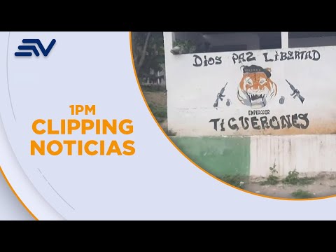 Grafitis de tigres de la banda Tiguerones han sido borrados en Esmeraldas | Televistazo | Ecuavisa