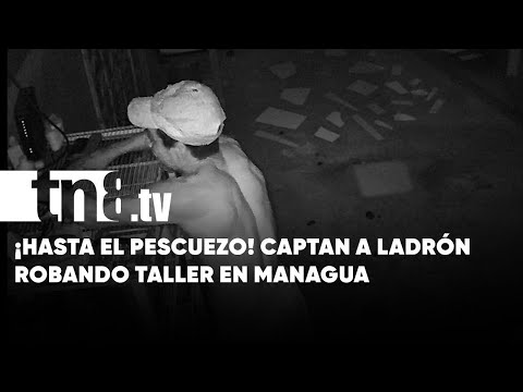 «Tamal» a la vista: Video muestra a ladrón robando un taller en Managua - Nicaragua