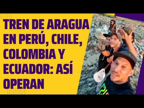 TREN DE ARAGUA en PERÚ, CHILE, COLOMBIA y ECUADOR: cómo operan