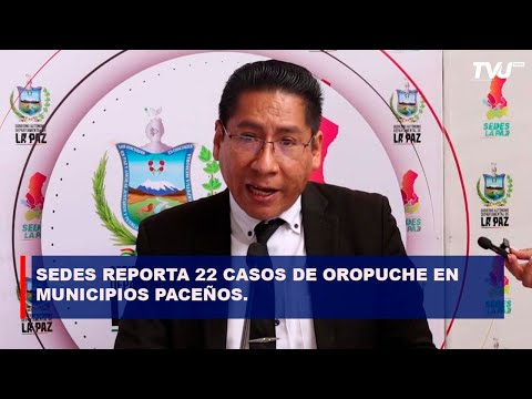 22 CASOS DE OROPUCHE EN LOS MUNICIPIOS PACEÑOS DE IRUPANA, CAJUATA Y CHULUMANI