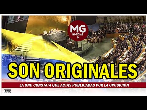 MALAS NOTICIAS PARA EL RÉGIMEN DE MADURO  La ONU constata que actas publicadas por la oposición