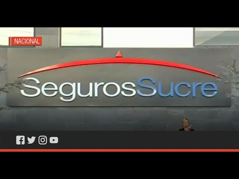 Caso Seguros Sucre: confesión de colombiano confirmó entramado de corrupción