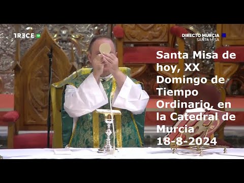 Santa Misa de hoy, XX Domingo de Tiempo Ordinario, en la Catedral de Murcia, 18-8-2024