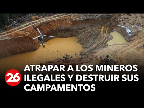 Brasil toma medidas enérgicas contra los mineros ilegales de la amazonia | #26Global