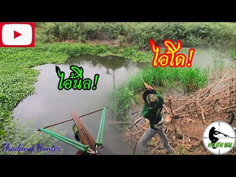 SHOOT-FISH-ยิงปลา-ลมพัดแรงมากเ SHOOT-FISH-ยิงปลา-ลมพัดแรงมากเ