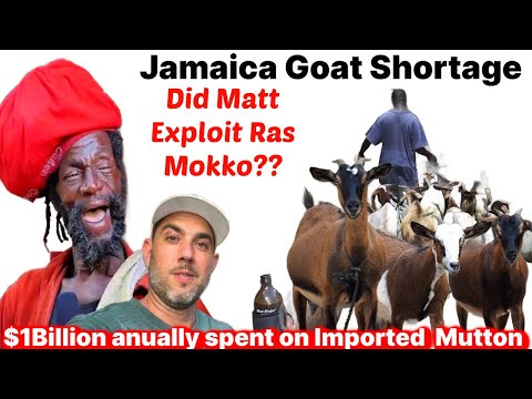 Was Ras Mokko Exploited by Matt for Ras Kitchen? & Jamaica Goat and Chicken Shortage Shamefull