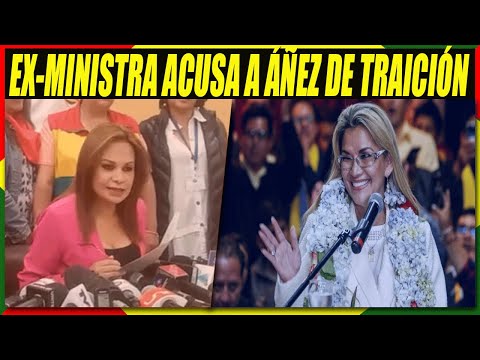 Ministra Roxana Lizarraga Renuncia y Llama Traidora a Jeanine Áñez Por Postularse a Elecciones 2020