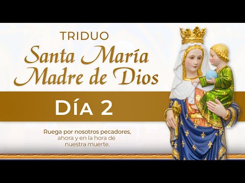 TRIDUO a Santa María Madre de Dios  Día 2  | Padre Ricardo del Campo