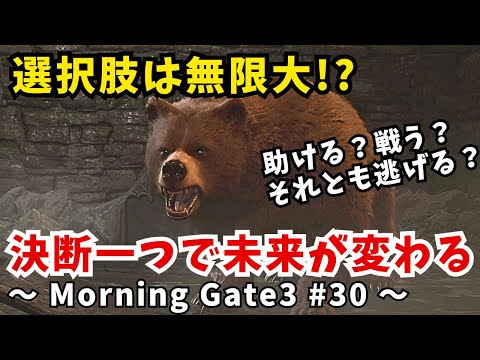 【ゆっくり実況】【バルダーズゲート３】Morning Gate3 #30