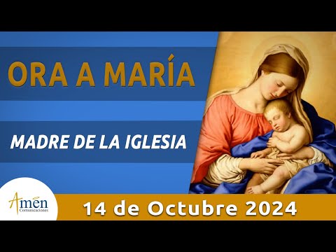 Oración a María | #PadreCarlosYepes | Confía | #Rosario | #Oración | #Amén