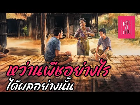 เล่านิทานEP.324|หว่านพืชอย่